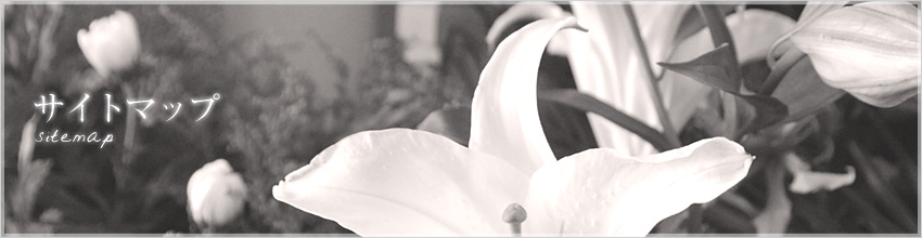 サイトマップ